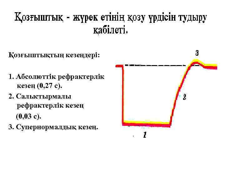 Қозғыштықтың кезеңдері: 1. Абсолюттік рефрактерлік кезең (0, 27 с). 2. Салыстырмалы рефрактерлік кезең (0,
