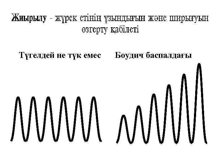 Түгелдей не түк емес Боудич баспалдағы 