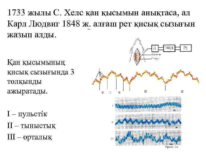 1733 жылы С. Хелс қан қысымын анықтаса, ал Карл Людвиг 1848 ж. алғаш рет