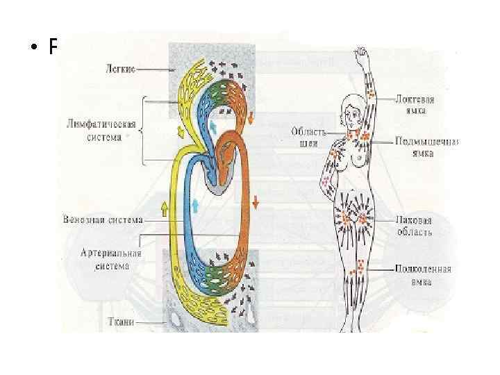  • Рис. 32. 33 стр 34 