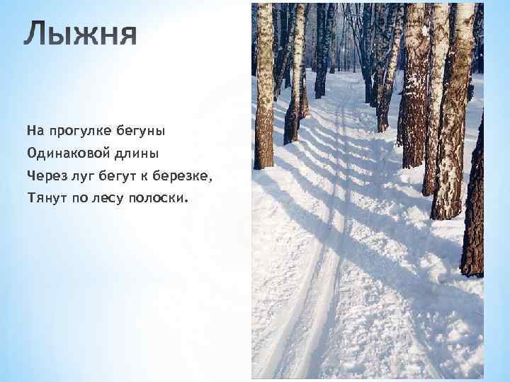 На прогулке бегуны Одинаковой длины Через луг бегут к березке, Тянут по лесу полоски.