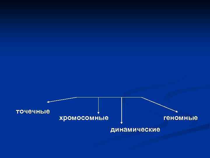 точечные хромосомные геномные динамические 