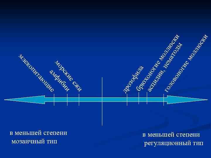 ие оз оф бр ила юх асц оно ид гие ии , н мол