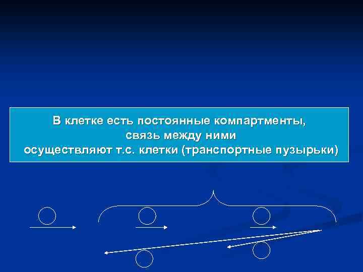 В клетке есть постоянные компартменты, связь между ними осуществляют т. с. клетки (транспортные пузырьки)