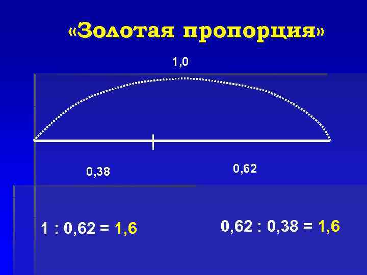  «Золотая пропорция» 1, 0 0, 38 1 : 0, 62 = 1, 6