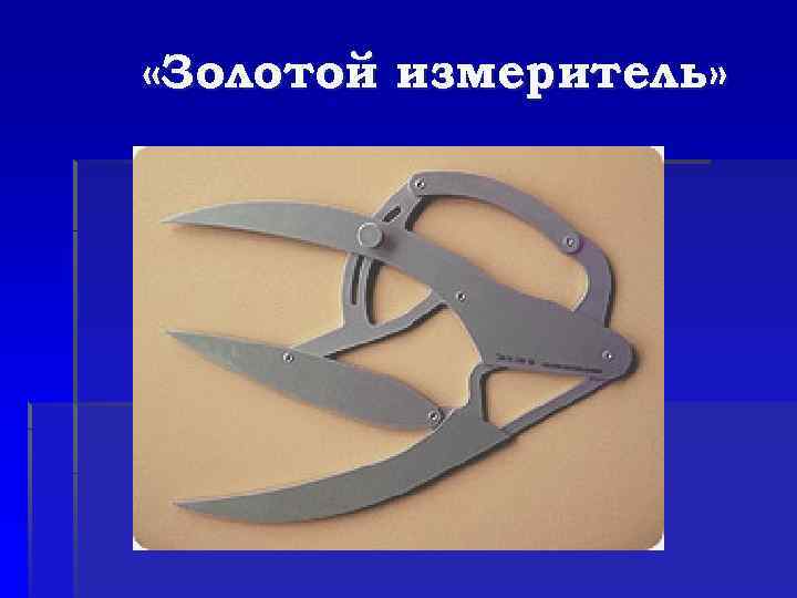  «Золотой измеритель» 