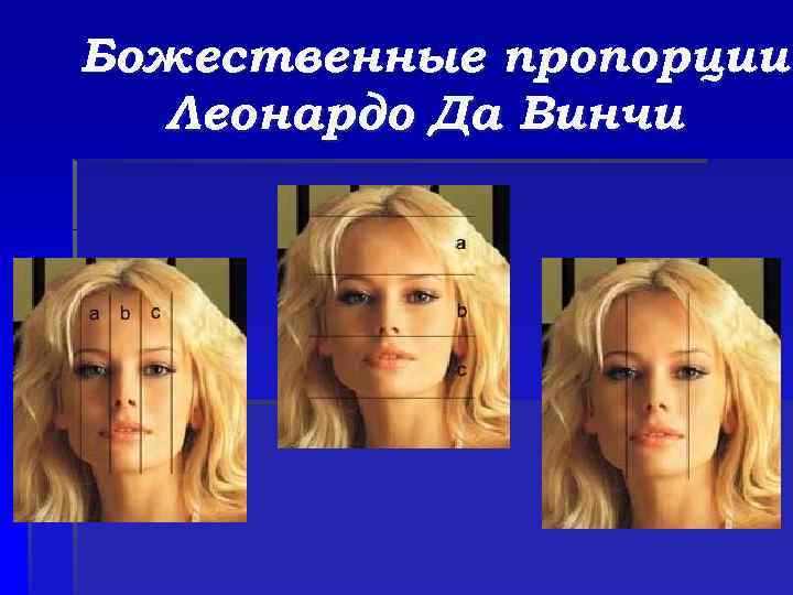 Божественные пропорции Леонардо Да Винчи 