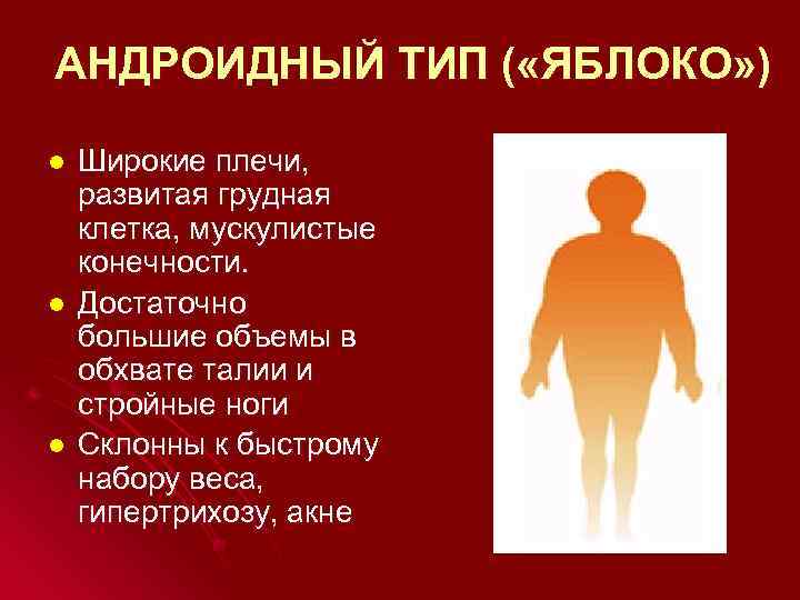 АНДРОИДНЫЙ ТИП ( «ЯБЛОКО» ) l l l Широкие плечи, развитая грудная клетка, мускулистые
