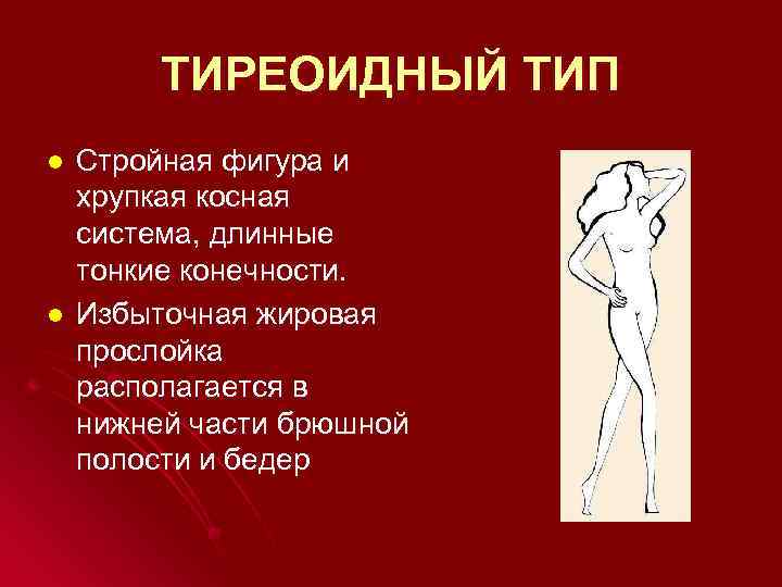 ТИРЕОИДНЫЙ ТИП l l Стройная фигура и хрупкая косная система, длинные тонкие конечности. Избыточная