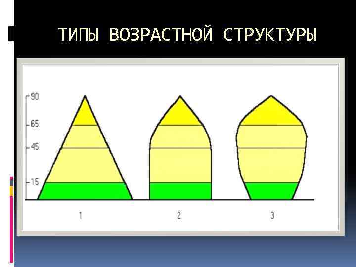 ТИПЫ ВОЗРАСТНОЙ СТРУКТУРЫ 
