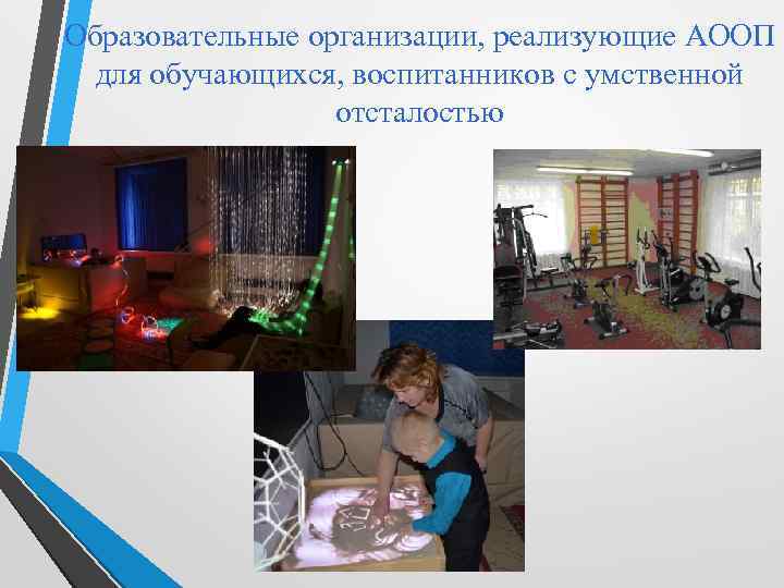 Образовательные организации, реализующие АООП для обучающихся, воспитанников с умственной отсталостью 