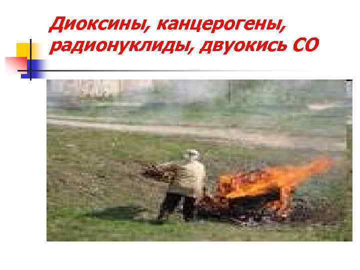 Диоксины, канцерогены, радионуклиды, двуокись СО 