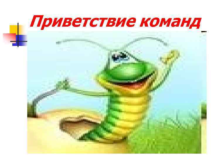 Приветствие команд 