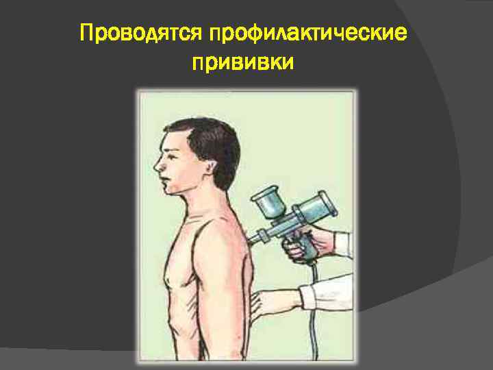 Проводятся профилактические прививки 