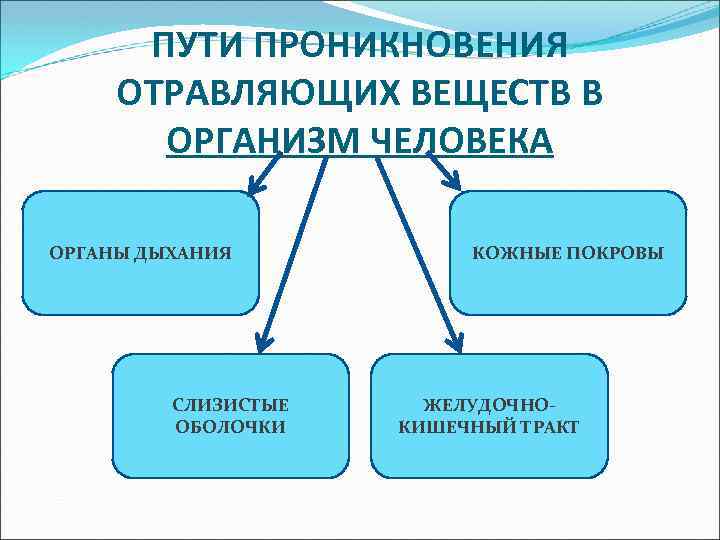 ПУТИ ПРОНИКНОВЕНИЯ ОТРАВЛЯЮЩИХ ВЕЩЕСТВ В ОРГАНИЗМ ЧЕЛОВЕКА ОРГАНЫ ДЫХАНИЯ СЛИЗИСТЫЕ ОБОЛОЧКИ КОЖНЫЕ ПОКРОВЫ ЖЕЛУДОЧНОКИШЕЧНЫЙ