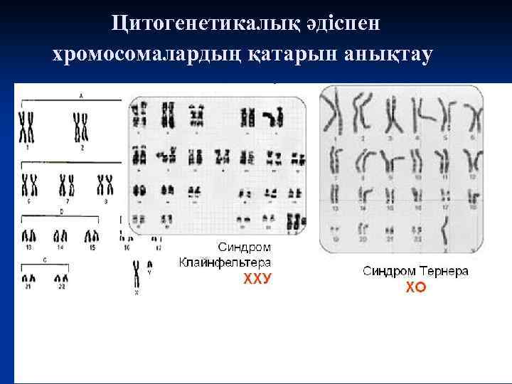 Цитогенетикалық әдіспен хромосомалардың қатарын анықтау 
