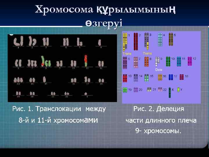 Хромосома құрылымының өзгеруі 