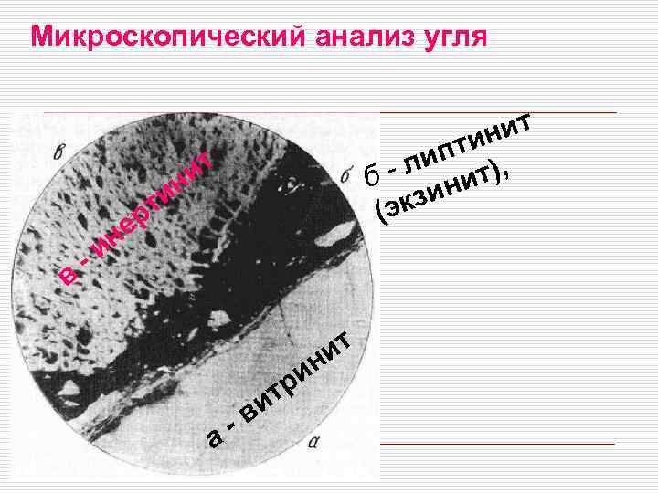 Микроскопический анализ угля ин т в нит пти , ли т) б - ини