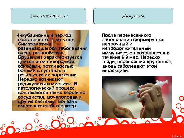 Клиническая картина Инкубационный период составляет от 1 до 3 нед. Симптоматика развивающегося заболевания очень