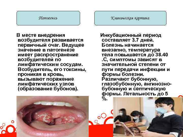 Патогенез В месте внедрения возбудителя развивается первичный очаг. Ведущее значение в патогенезе имеет распространение