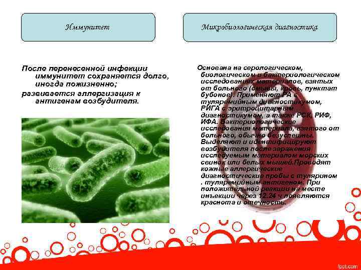 Иммунитет После перенесенной инфекции иммунитет сохраняется долго, иногда пожизненно; развивается аллергизация к антигенам возбудителя.