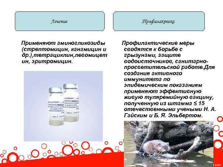 Лечение Применяют аминогликозиды (стрептомицин, канамицин и др. ), тетрациклин, левомицет ин, эритромицин. Профилактика Профилактические