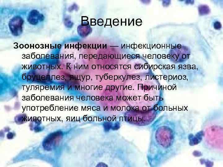 Введение Зоонозные инфекции — инфекционные заболевания, передающиеся человеку от животных. К ним относятся сибирская