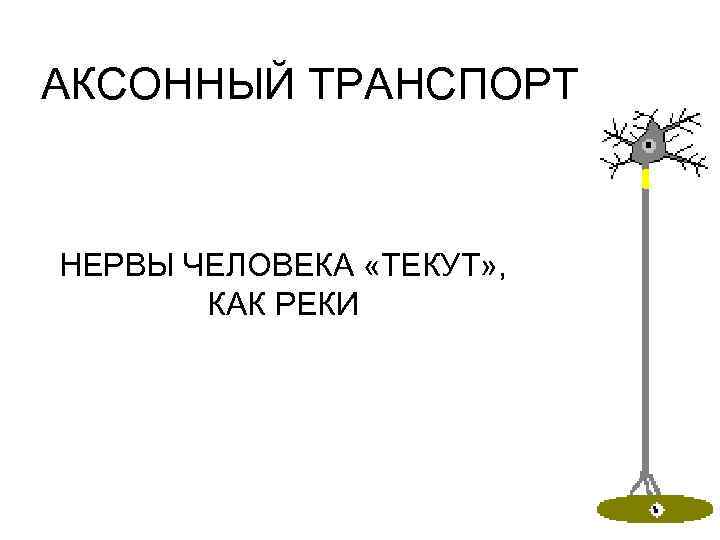 АКСОННЫЙ ТРАНСПОРТ НЕРВЫ ЧЕЛОВЕКА «ТЕКУТ» , КАК РЕКИ 
