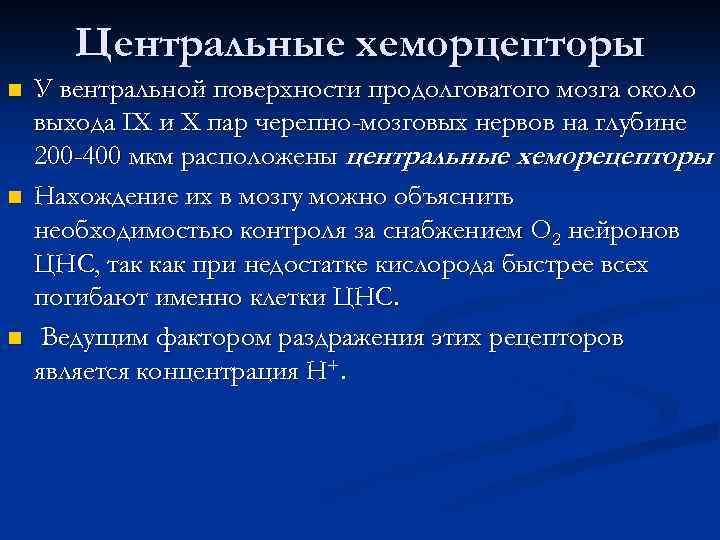 Центральные хеморцепторы n n n У вентральной поверхности продолговатого мозга около выхода IХ и