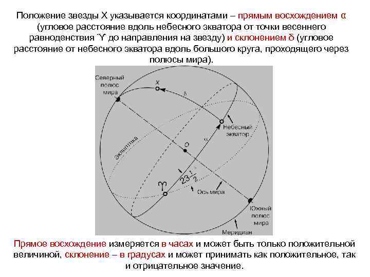 Положение звезды Х указывается координатами – прямым восхождением α (угловое расстояние вдоль небесного экватора