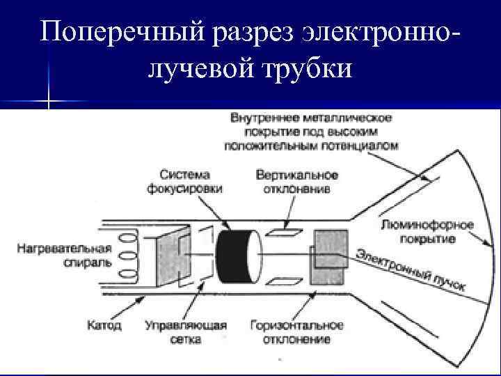 Поперечный разрез электроннолучевой трубки 