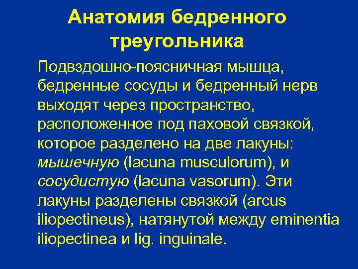 Анатомия бедренного треугольника Подвздошно-поясничная мышца, бедренные сосуды и бедренный нерв выходят через пространство, расположенное