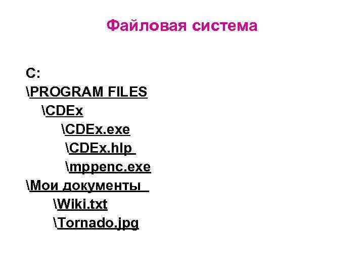 Файловая система С: PROGRAM FILES CDEx. exe CDEx. hlp mppenc. exe Мои документы Wiki.