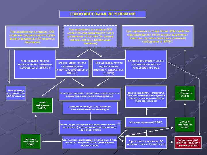 ОЗДОРОВИТЕЛЬНЫЕ МЕРОПРИЯТИЯ При зараженности стада до 10% хозяйства оздоравливаются путем замены зараженных ВЛ животных