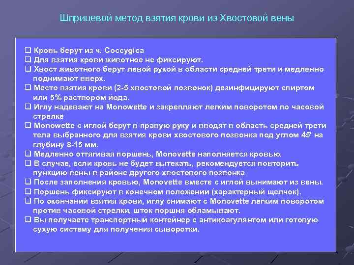Шприцевой метод взятия крови из Хвостовой вены q Кровь берут из ч. Coccygica q