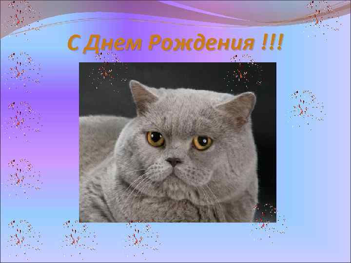 С Днем Рождения !!! 