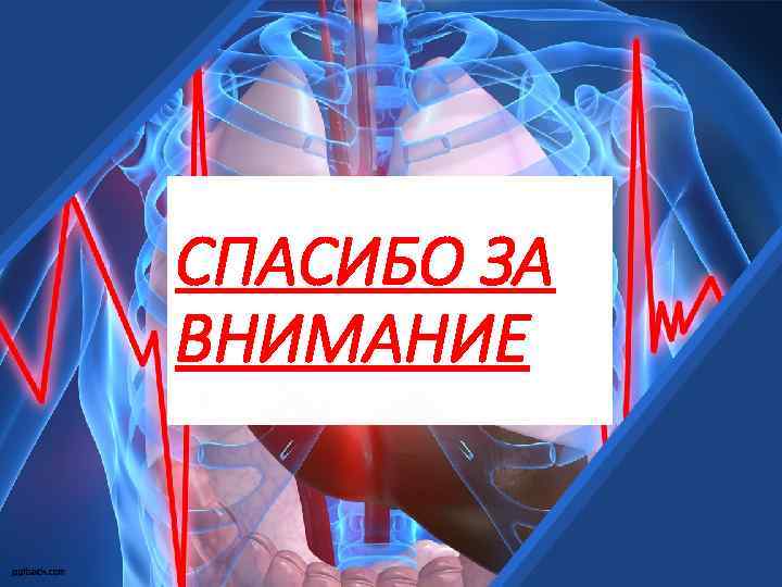 СПАСИБО ЗА ВНИМАНИЕ 