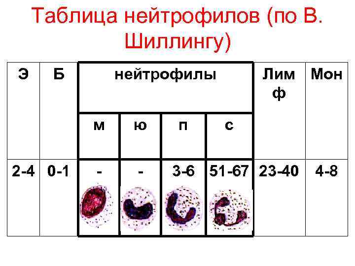 Таблица нейтрофилов (по В. Шиллингу) Э Б нейтрофилы м 2 -4 0 -1 ю