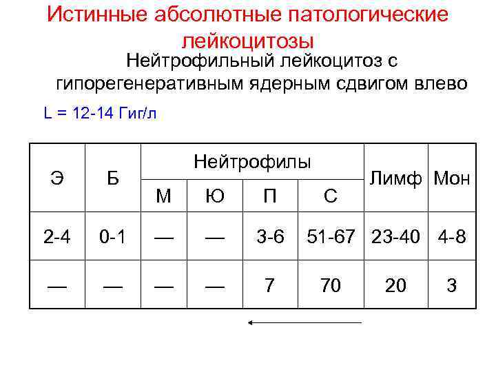 Истинные абсолютные патологические лейкоцитозы Нейтрофильный лейкоцитоз с гипорегенеративным ядерным сдвигом влево L = 12