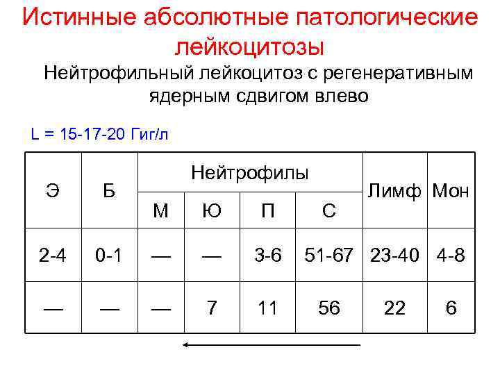 Истинные абсолютные патологические лейкоцитозы Нейтрофильный лейкоцитоз с регенеративным ядерным сдвигом влево L = 15