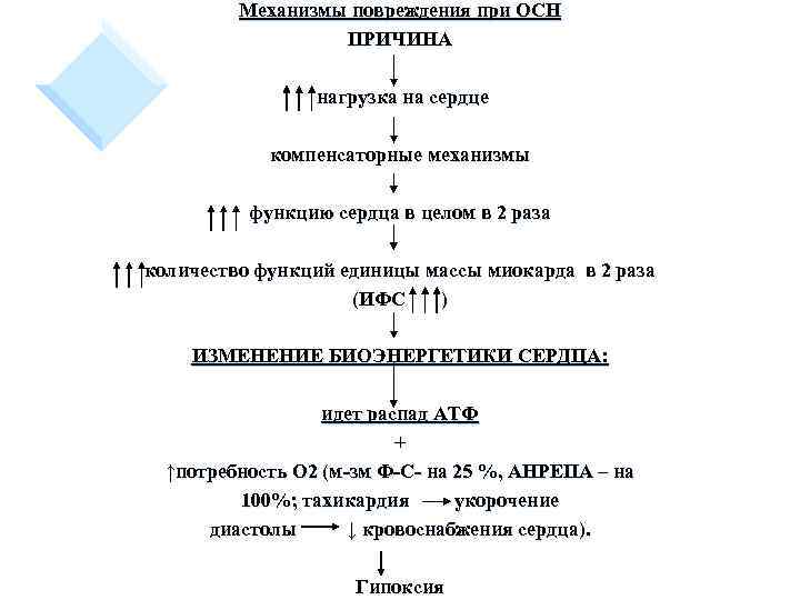 Механизмы повреждения при ОСН ПРИЧИНА нагрузка на сердце компенсаторные механизмы функцию сердца в целом