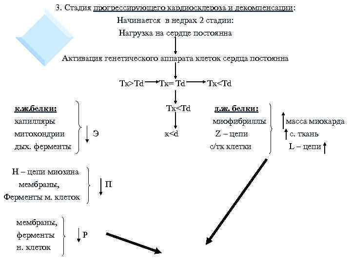3. Стадия прогрессирующего кардиосклероза и декомпенсации: Начинается в недрах 2 стадии: Нагрузка на сердце