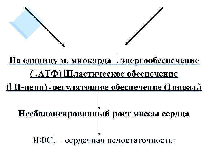 На единицу м. миокарда энергообеспечение ( АТФ) Пластическое обеспечение ( Н-цепи) регуляторное обеспечение (