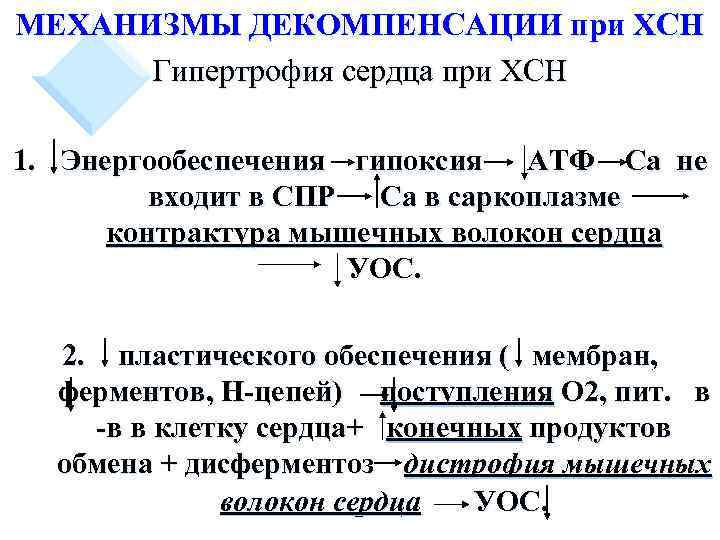 МЕХАНИЗМЫ ДЕКОМПЕНСАЦИИ при ХСН Гипертрофия сердца при ХСН 1. Энергообеспечения гипоксия АТФ Са не