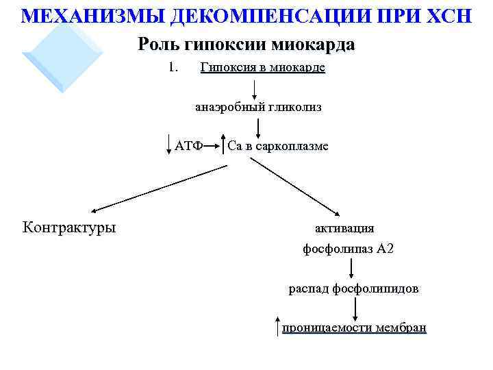 МЕХАНИЗМЫ ДЕКОМПЕНСАЦИИ ПРИ ХСН Роль гипоксии миокарда 1. Гипоксия в миокарде анаэробный гликолиз АТФ