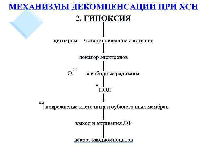 Гипоксия клеток. Механизмы декомпенсации сердечной недостаточности патофизиология. Патогенез декомпенсированной сердечной недостаточности. Схема патогенеза повреждения клетки. Схема патогенезе поврежденной клетки.