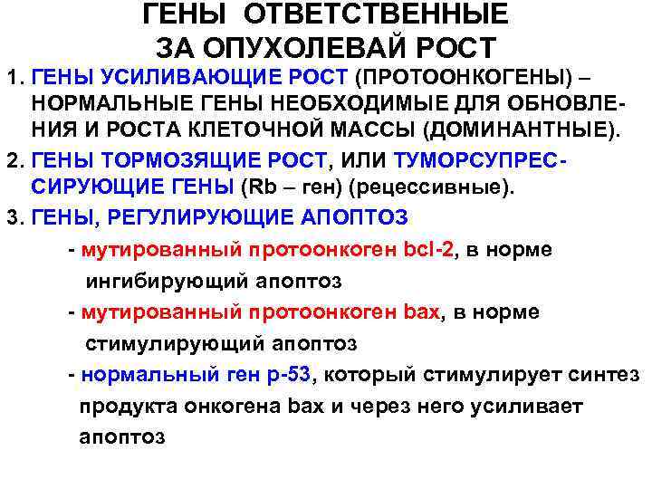 ГЕНЫ ОТВЕТСТВЕННЫЕ ЗА ОПУХОЛЕВАЙ РОСТ 1. ГЕНЫ УСИЛИВАЮЩИЕ РОСТ (ПРОТООНКОГЕНЫ) – НОРМАЛЬНЫЕ ГЕНЫ НЕОБХОДИМЫЕ