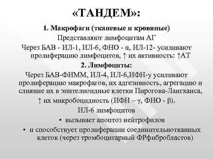  «ТАНДЕМ» : 1. Макрофаги (тканевые и кровяные) Представляют лимфоцитам АГ Через БАВ -
