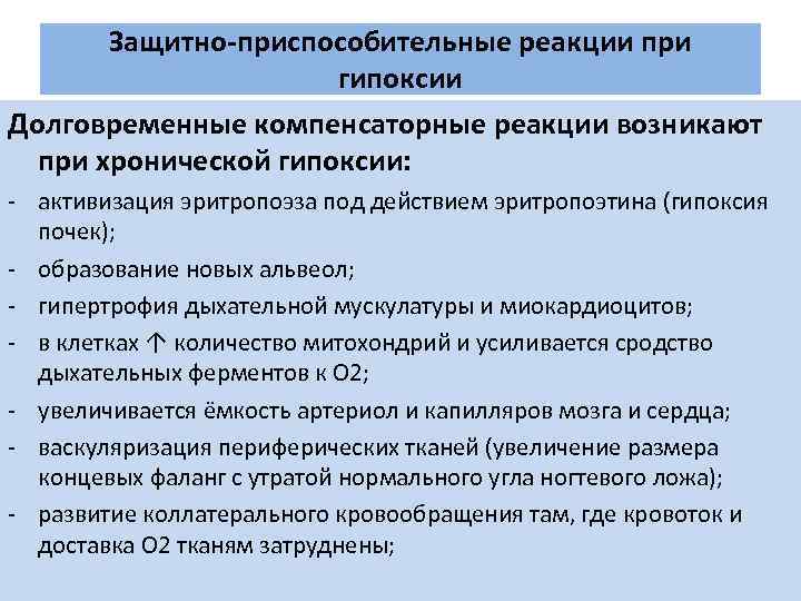 Защитно-приспособительные реакции при гипоксии Долговременные компенсаторные реакции возникают при хронической гипоксии: - активизация эритропоэза