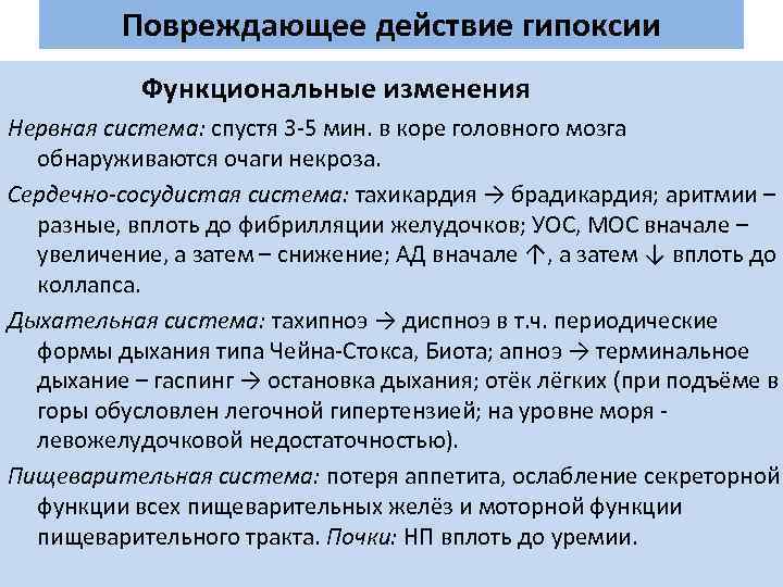 Повреждающее действие гипоксии Функциональные изменения Нервная система: спустя 3 -5 мин. в коре головного
